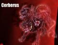Cerberus's Avatar